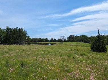 11 acres in Montague County