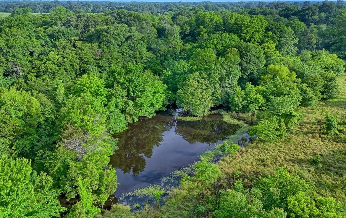 419 acres in Henderson County