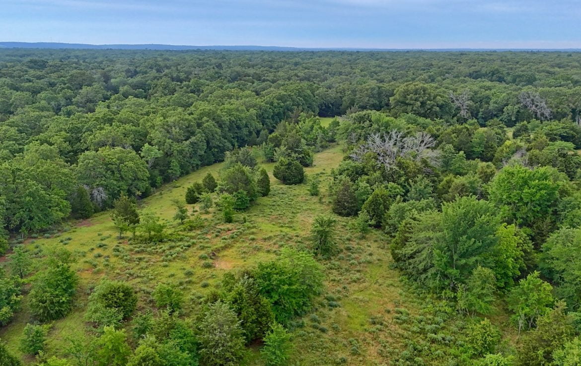 419 acres in Henderson County
