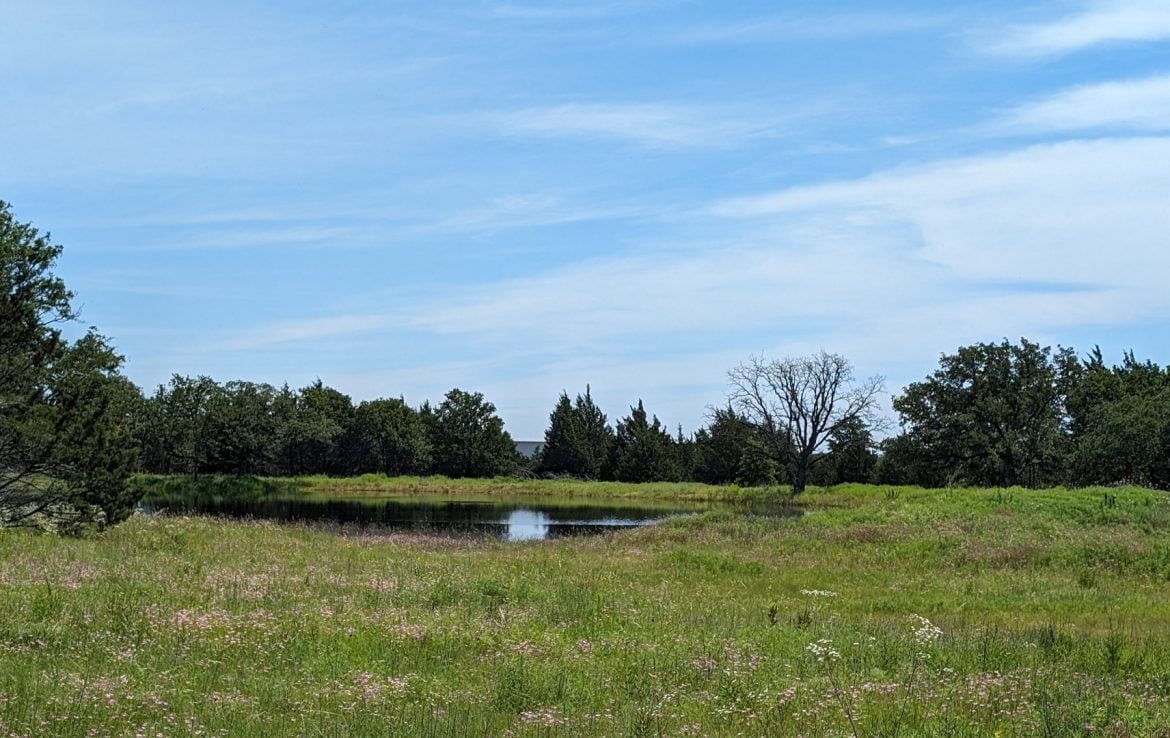 21 acres in Montague County