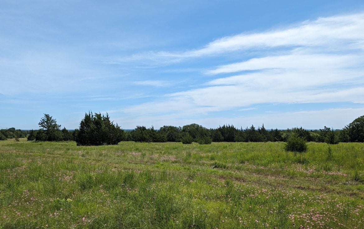 21 acres in Montague County