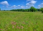 419 acres in Henderson County