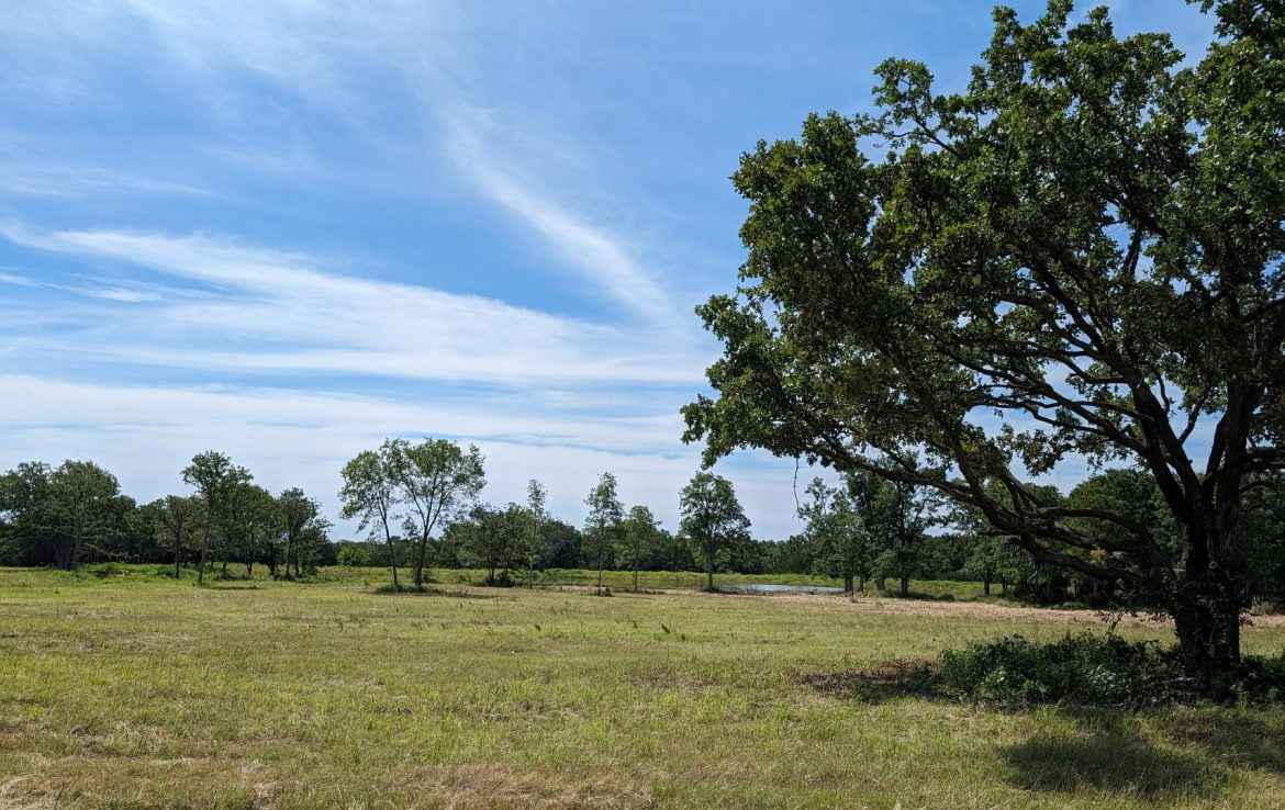 11 acres in Montague County