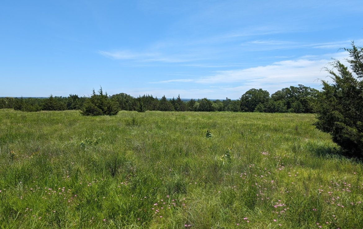 11 acres in Montague County