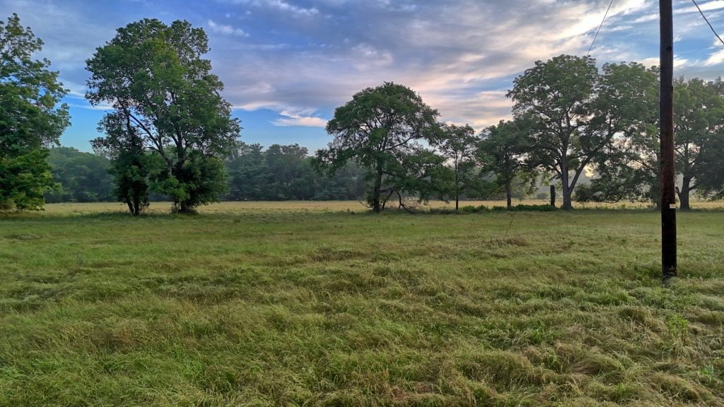 Henderson County Texas Land for Sale Texas Hunting Land LLC