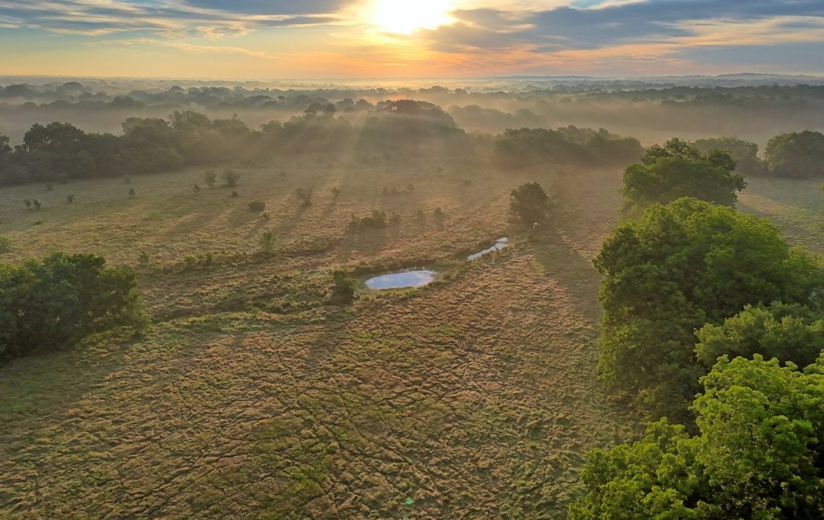 419 acres in Henderson County