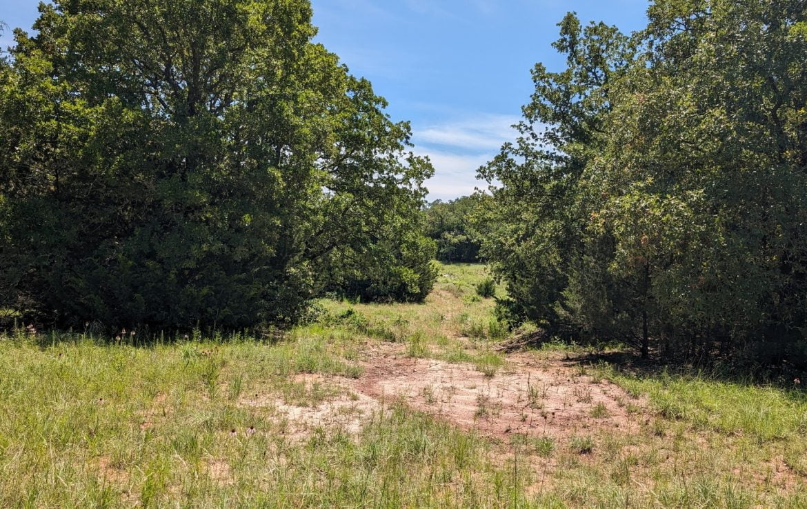 11 acres in Montague County
