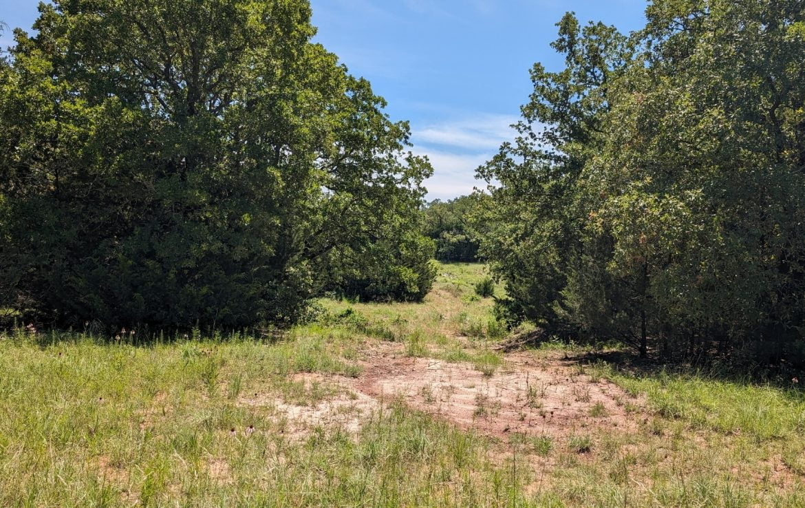 21 acres in Montague County