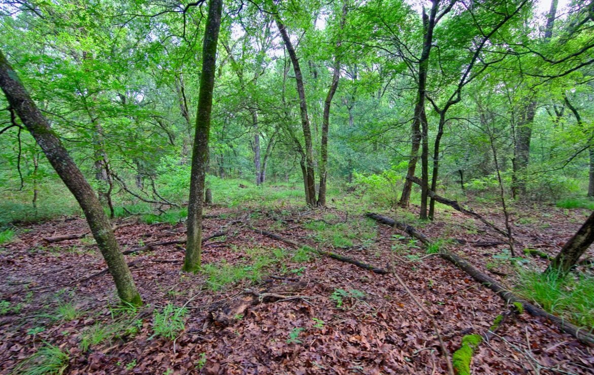 419 acres in Henderson County