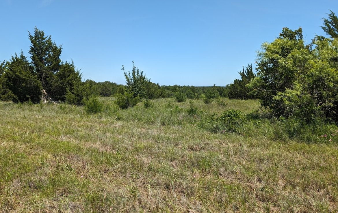 21 acres in Montague County