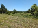 21 acres in Montague County