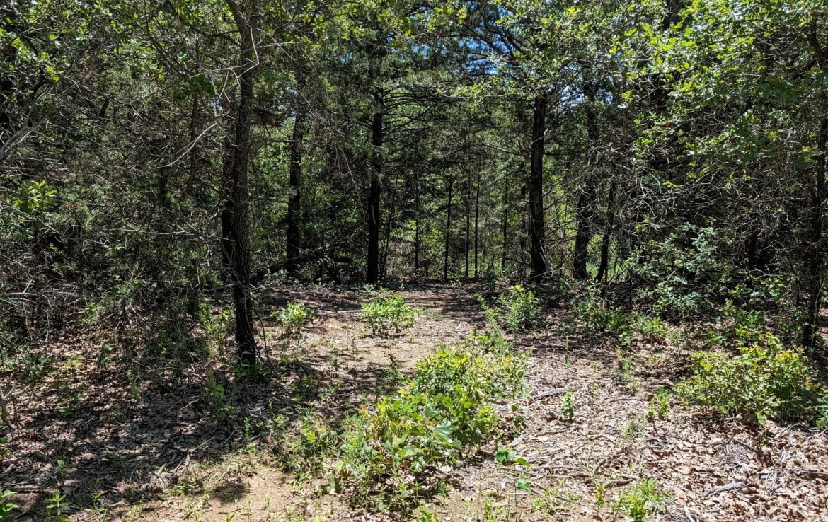 21 acres in Montague County