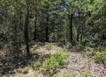 21 acres in Montague County