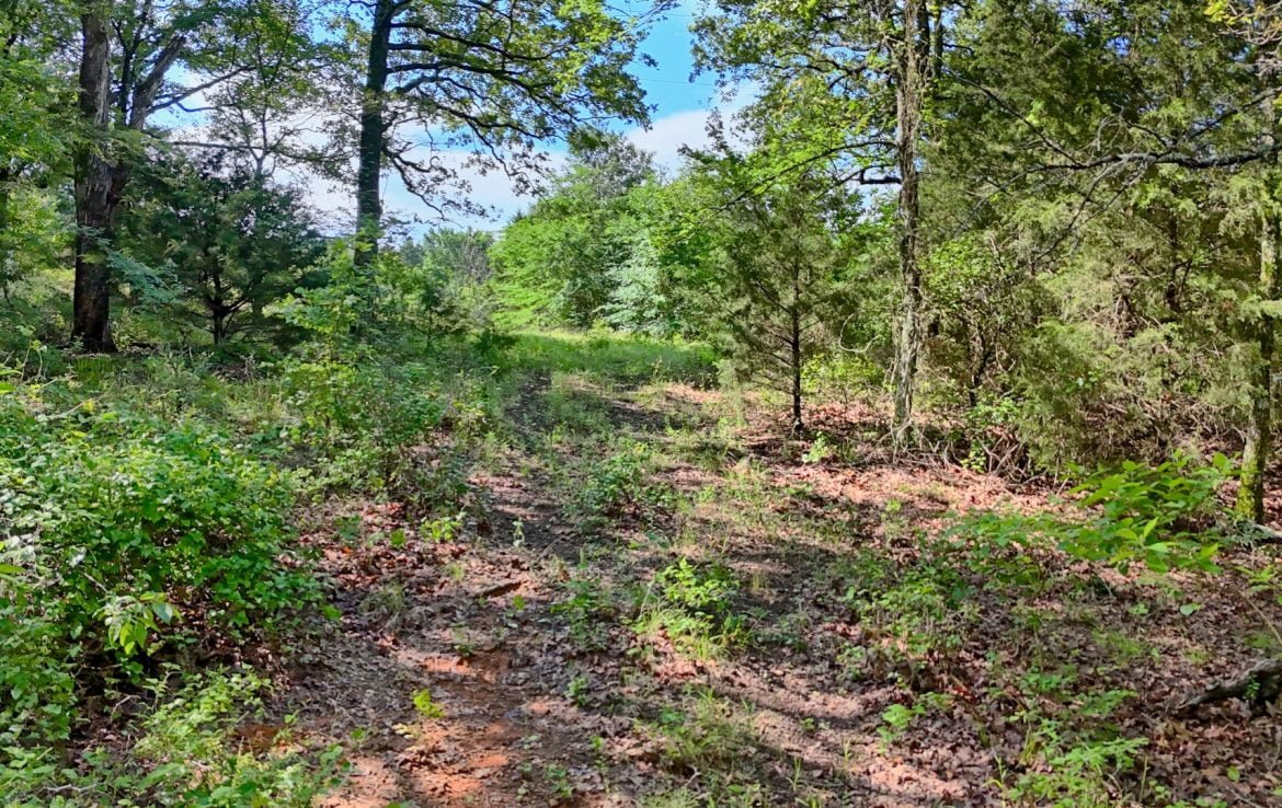 419 acres in Henderson County