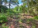 419 acres in Henderson County