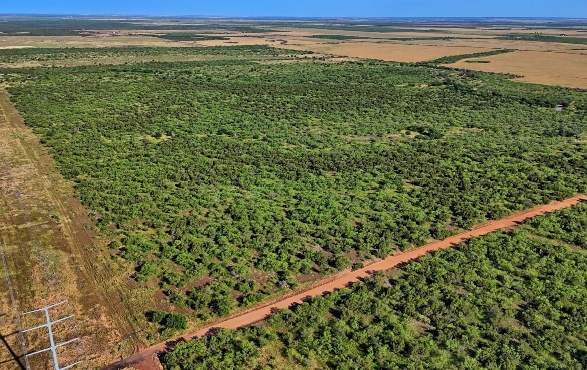 669 acres in Hardeman County