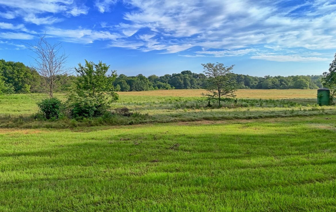 419 acres in Henderson County