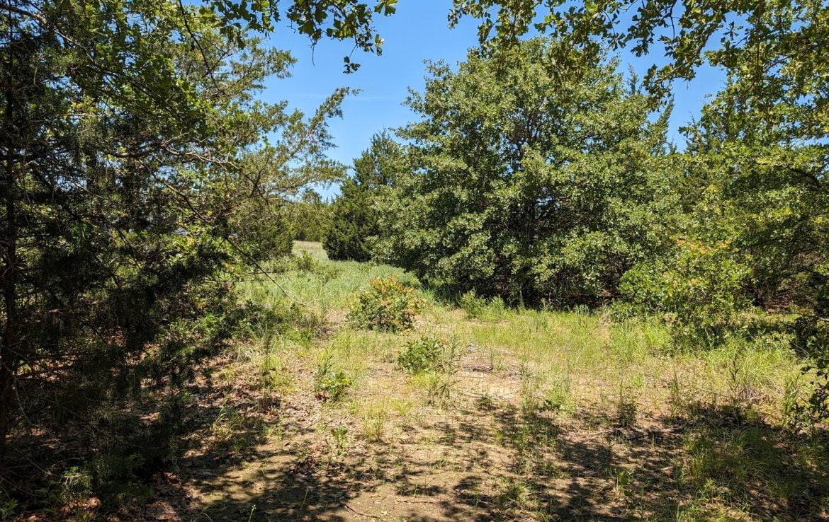 11 acres in Montague County