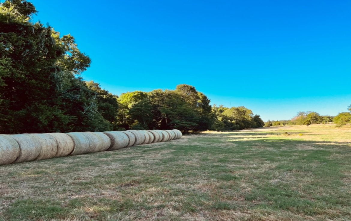 419 acres in Henderson County