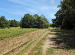 11 acres in Montague County