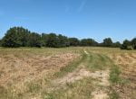 21 acres in Montague County