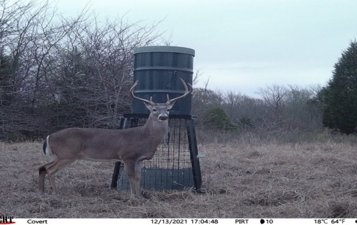 419 acres in Henderson County