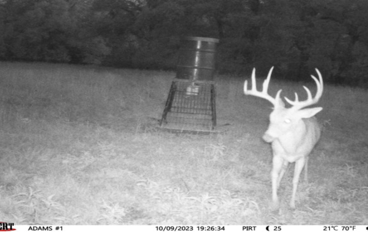 419 acres in Henderson County