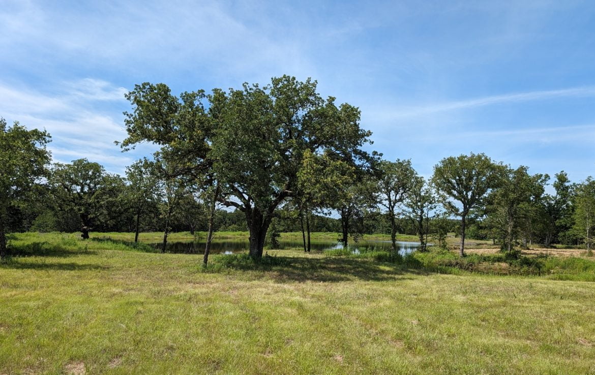 11 acres in Montague County