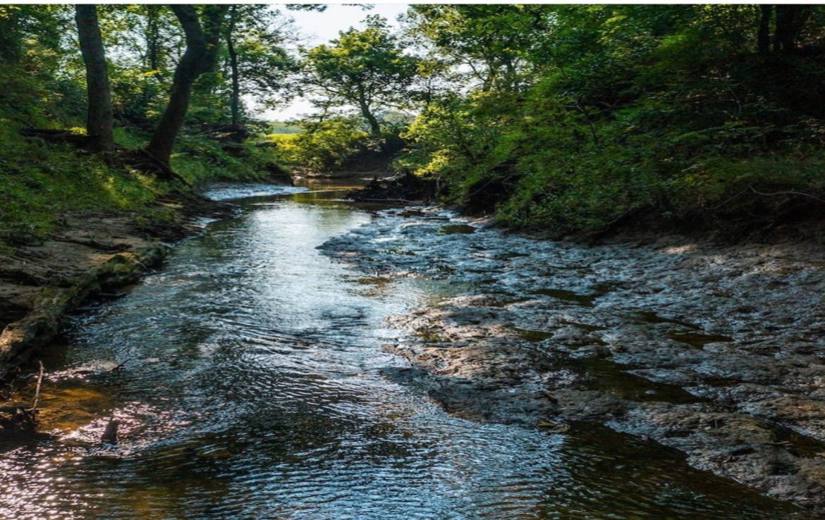 419 acres in Henderson County