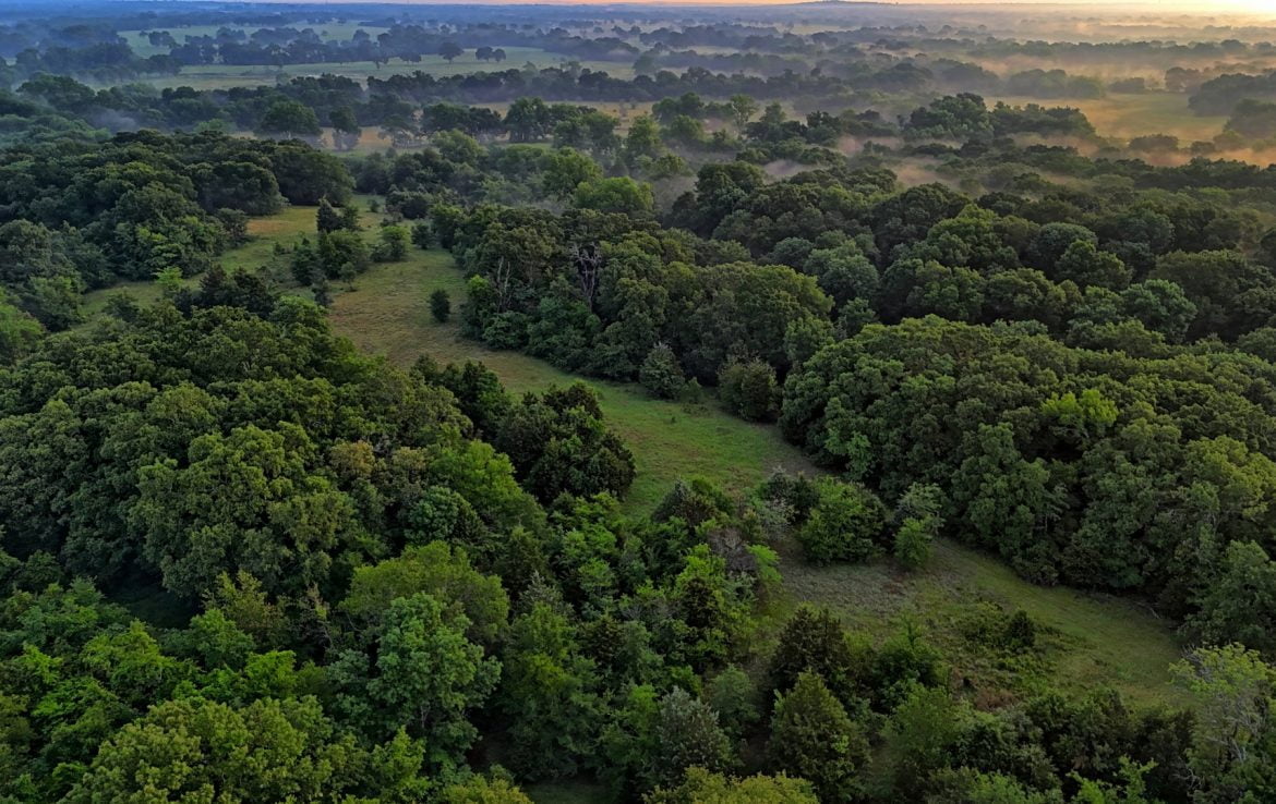 419 acres in Henderson County