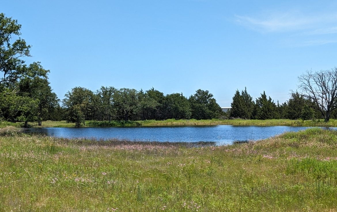 21 acres in Montague County