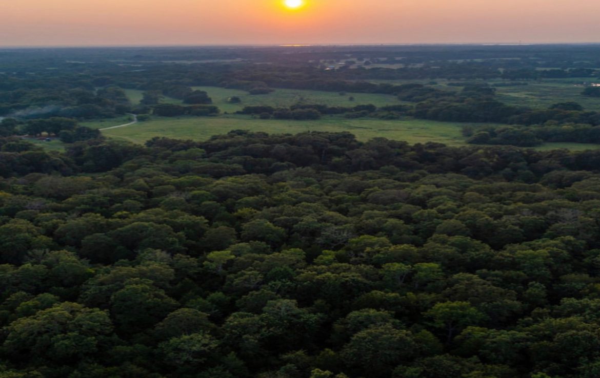 419 acres in Henderson County