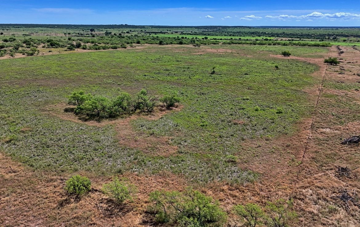 157 acres in Foard County