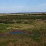 39 acres in Taylor County