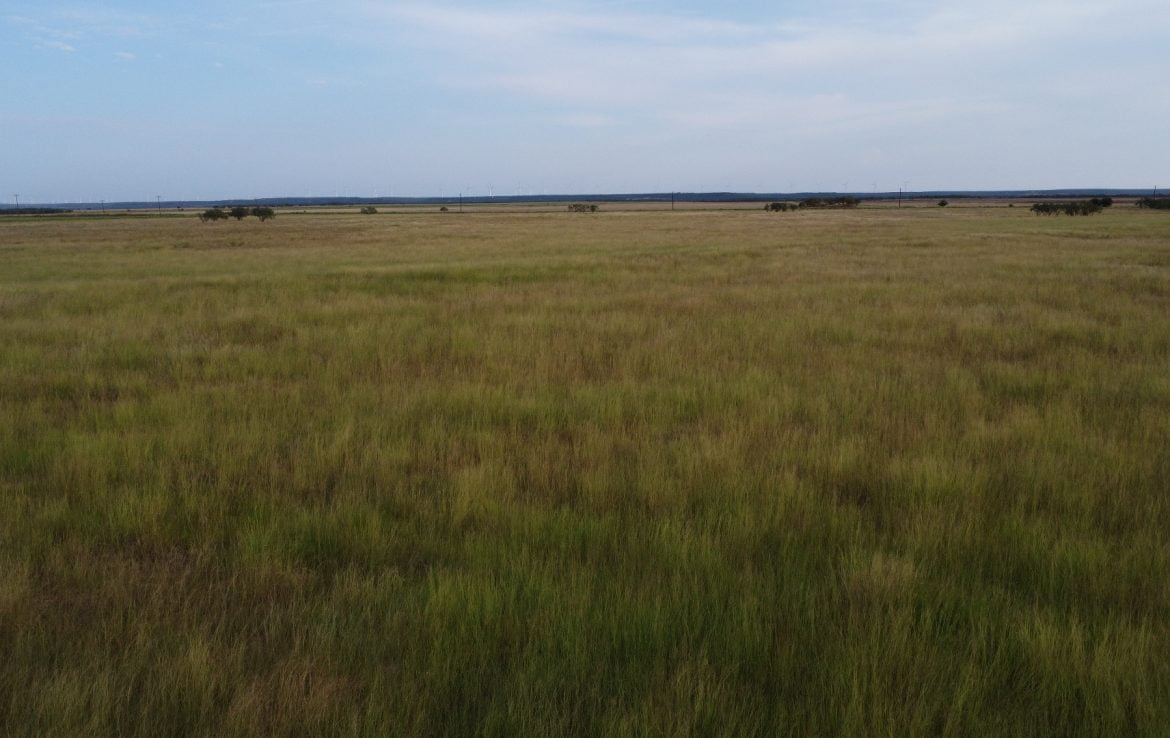 50 acres in Taylor County