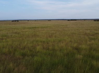 50 acres in Taylor County