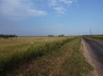50 acres in Taylor County