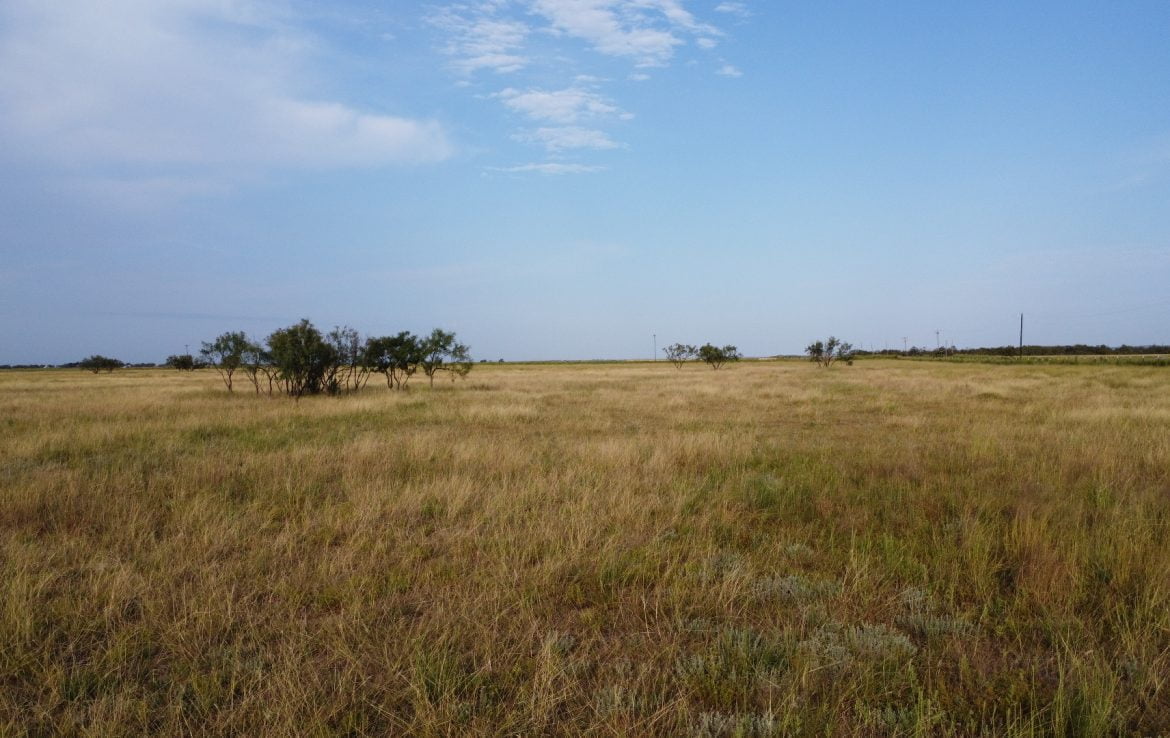 50 acres in Taylor County