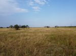 50 acres in Taylor County
