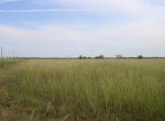 50 acres in Taylor County