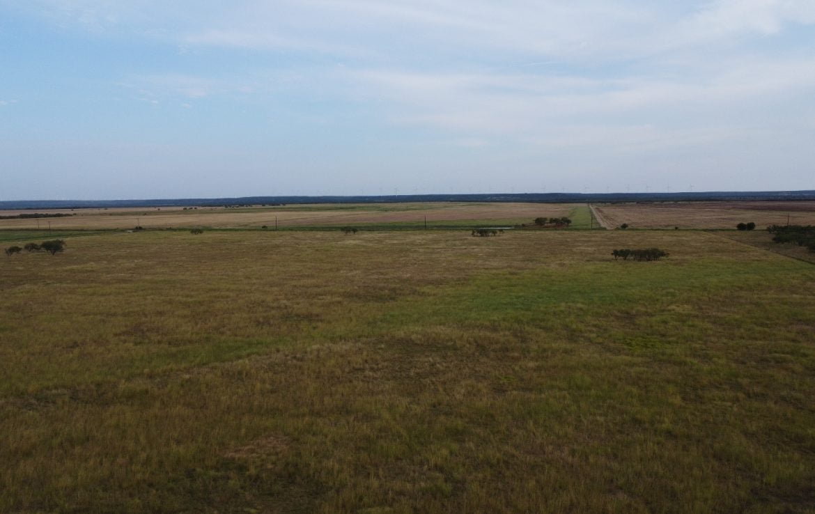 50 acres in Taylor County