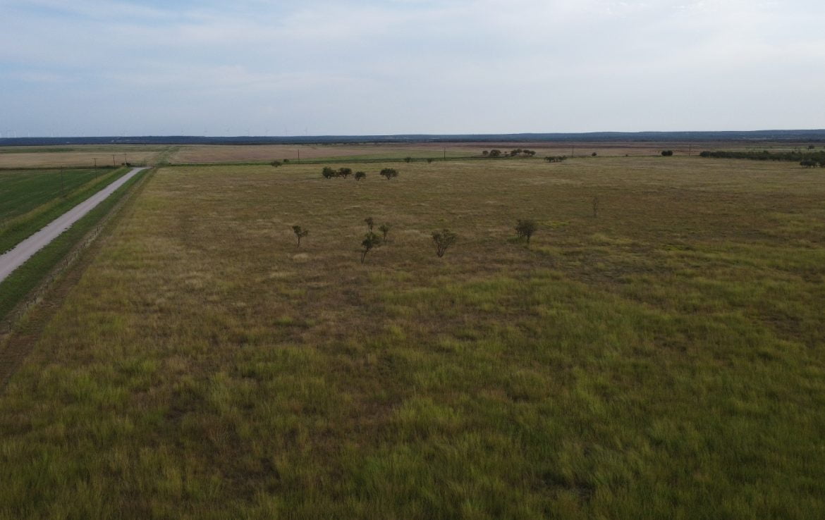 50 acres in Taylor County