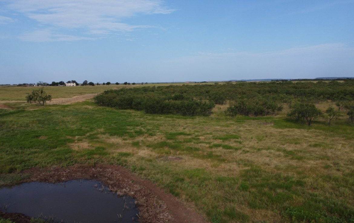 39 acres in Taylor County