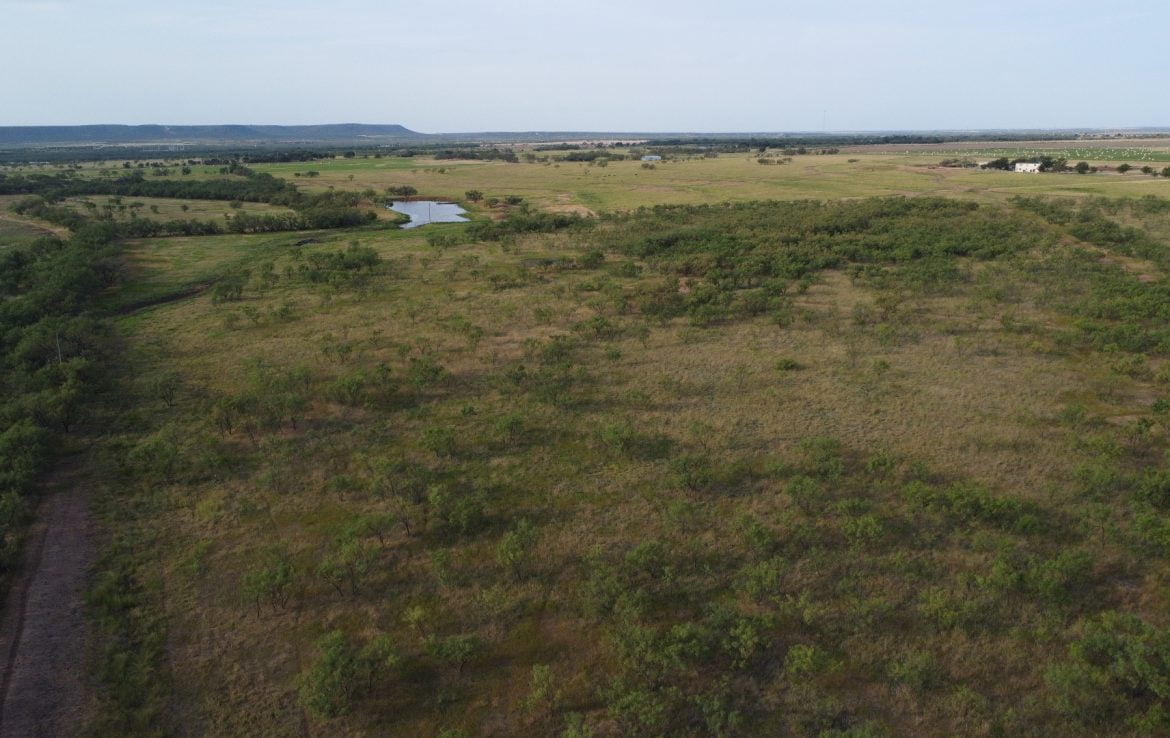 39 acres in Taylor County