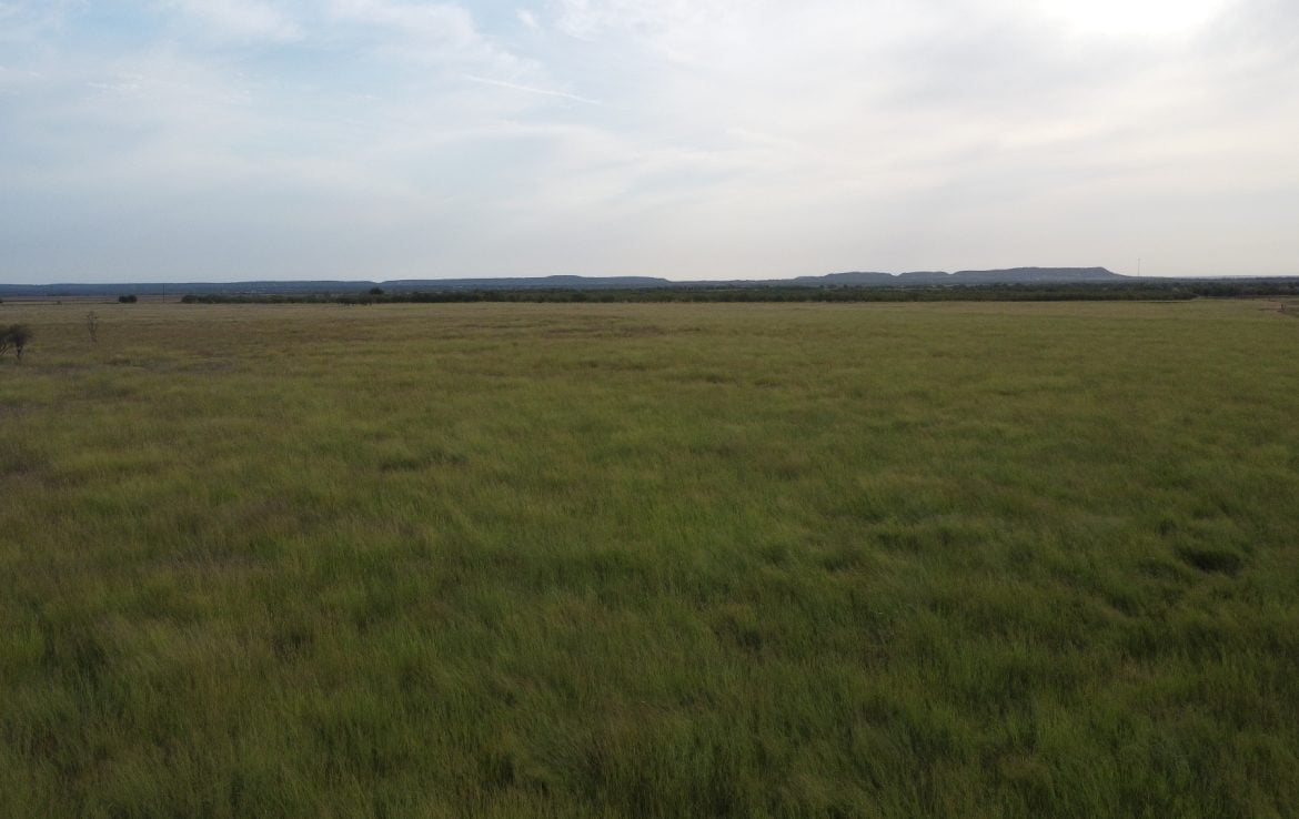50 acres in Taylor County