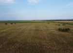 50 acres in Taylor County