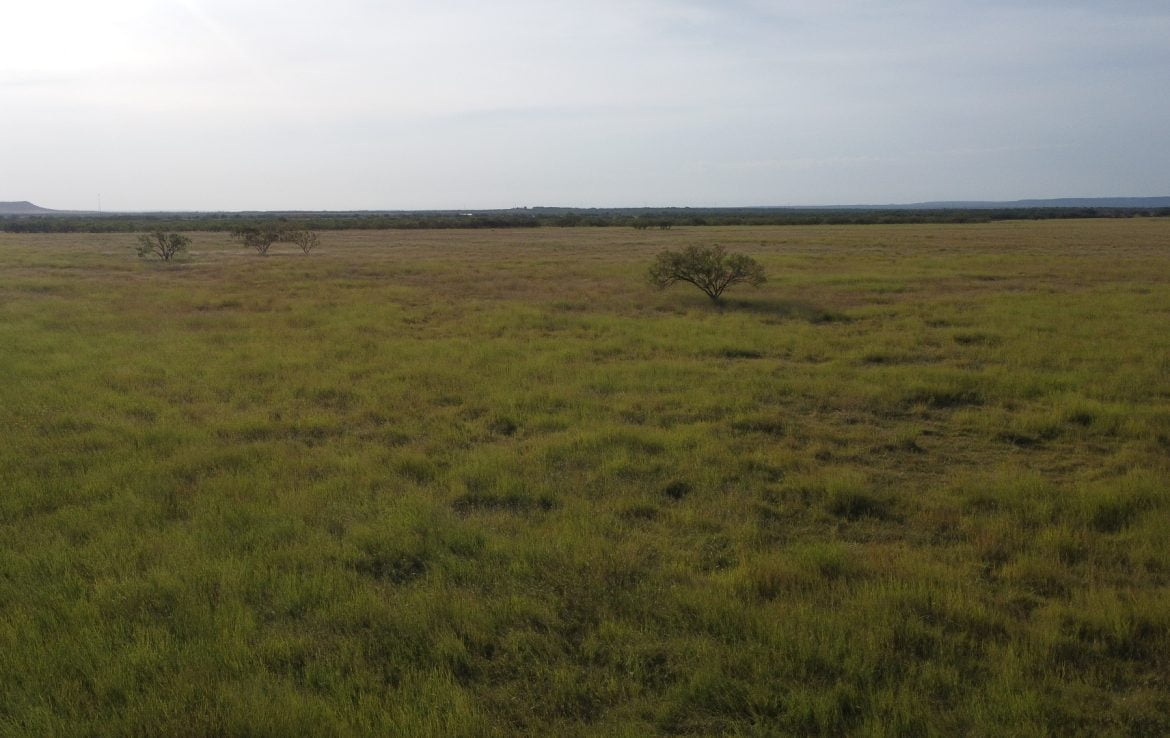 50 acres in Taylor County