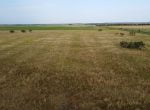 50 acres in Taylor County