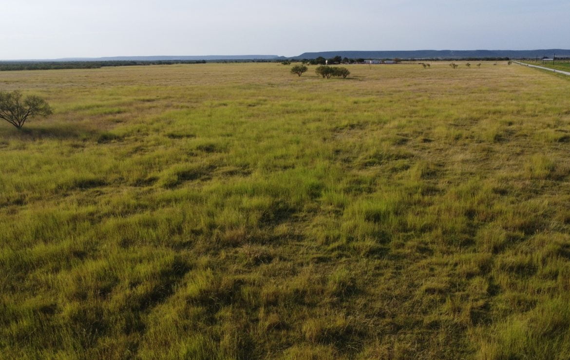 50 acres in Taylor County