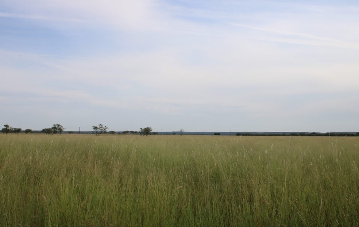 50 acres in Taylor County